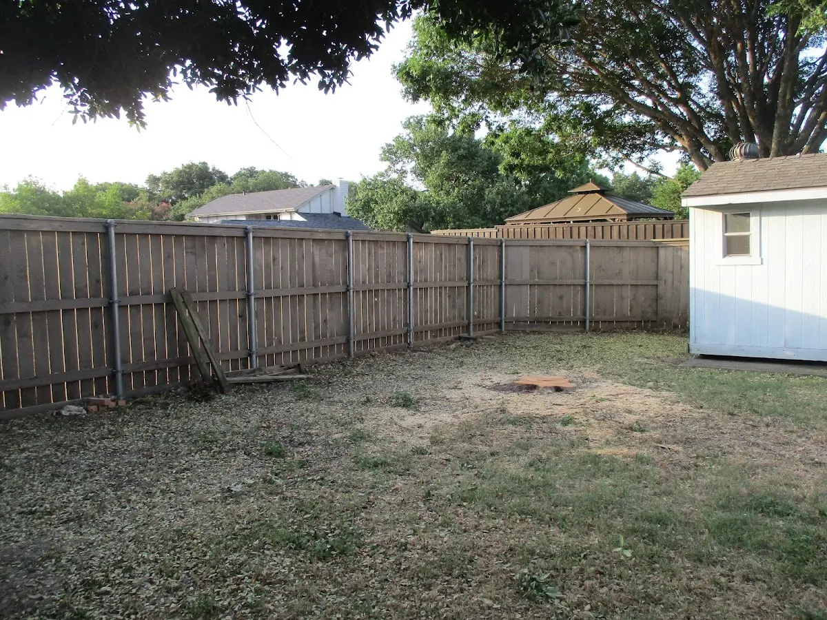 Cleared yard after professional tree removal in Cinebar